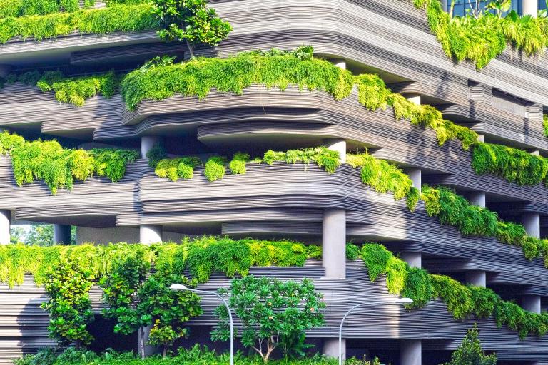 La nature reprend ses droits sur le béton